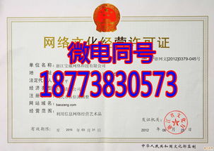 解析《網(wǎng)絡文化經營許可證》 樣本內容與申請全攻略