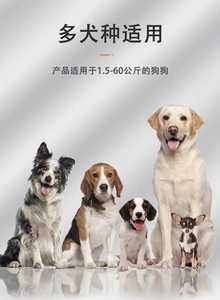 電擊項圈與止吠器 科學應對寵物吠叫的正確選擇